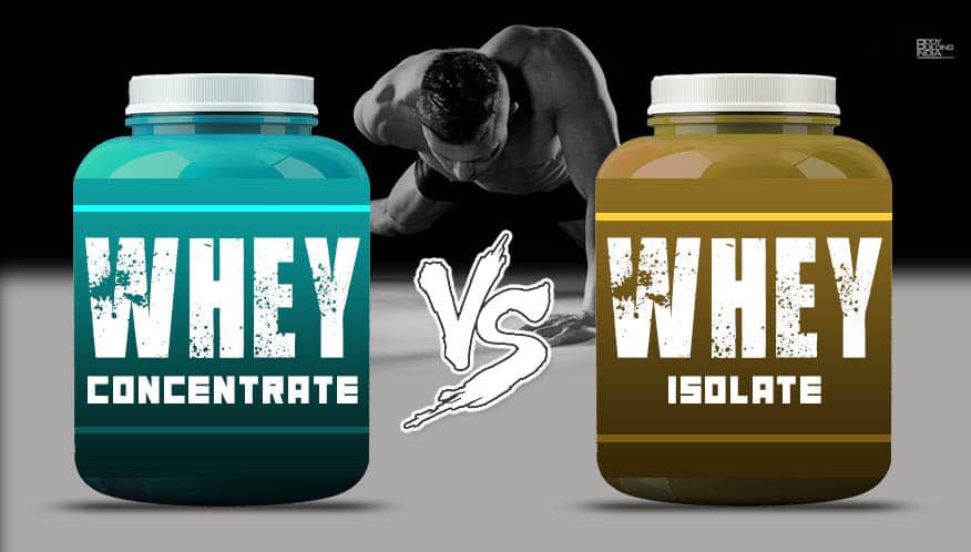 Maximum Muscle Gains: Concentrated Whey Protein VS Isolated Whey Protein