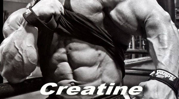 All About Creatine